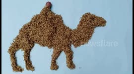 Creative Chinese man uses plants to form artwork resembling animals