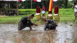 Traditional Indonesian martial art sees two competitors battle in muddy rice field