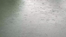 Raindrops and ripples on a pond, increase in intensity as the rain shower get stronger.