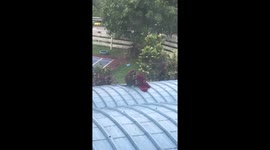 Hilarious video of a monkey playing with women's clothes until it falls off a roof