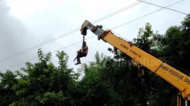 Crane driver's perfect coordination with a tree cutter inspite that he loses sight stuns people in India