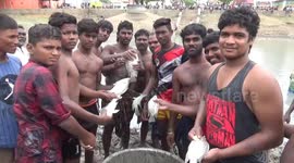 Dozens wade out to take part in traditional fishing festival in south India