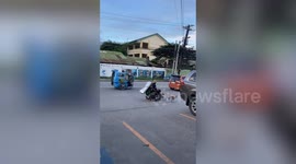 Loyal pet dogs pull disabled owner along road in his wheelchair