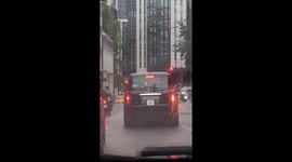 Pigeon catches a ride in london on a black cab