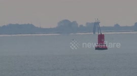 Large pod of dolphins seen in the Thames off Kent, UK