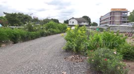 Large python caught after raiding livestock farm in Thailand