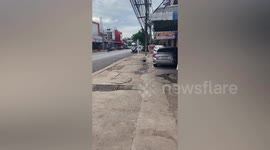 Stray Dog Rides On School Bus With Pupils