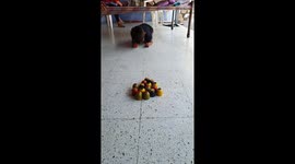 Cute kid playing