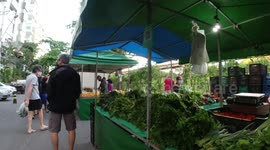 Organic food fair
