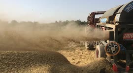 Wheat Purifying Machine