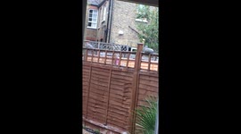 SOCIAL DISTANCES BETWEEN THE BIRDS