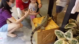Real animal theme cafe in Melaka Malaysia