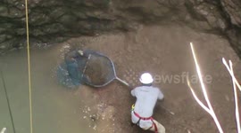 Forest officials rescue Indian Jackal from 80 feet deep well in central India.