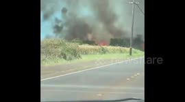 US: Brush Fires Erupt Near Kunia Camp In Honolulu, Hawaii