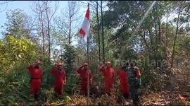 Firefighters try to extinguish peat land fire in Riau, Indonesia