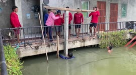 Six Thai builders jump on wooden beam to sink concrete post into river bed