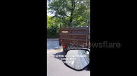 'This is voter suppression!' Truck seen loading mailboxes in New York amid mail-in maelstrom