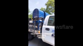 'This is voter suppression!' Truck seen loading mailboxes in New York amid mail-in maelstrom