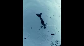 These moments leaving me breathless