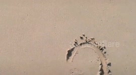 A person standing on a beach