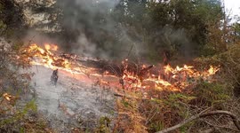 Waddell Fire continues to burn in northern California