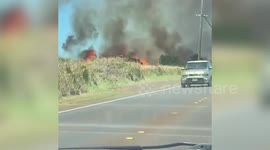 Hellish scene as brush fire flames rise alongside road in Hawaii