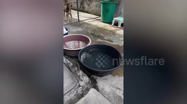 Water Basins Shake As Earthquake Hits The Philippines
