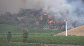 Fire in wine country. Fire next to vineyards