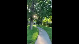 Mysterious Hole in Tree