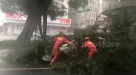 Strong winds and rainfall brought by Typhoon Higos as it makes landfall in southern China