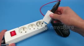 COMPUTER MOUSE vs POWER SUPPLY I Experiment