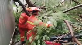 Strong winds and rainfall brought by Typhoon Higos as it makes landfall in southern China