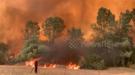 Forest fire burning in Napa County wine country destroying ranch land