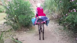 A woman who knows how to ride a donkey