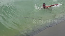 Rescuer jumps into irrigation pond to rescue rat snake in western India