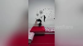 Chinese 5-year-old performs over 60 somersaults in just 40 seconds