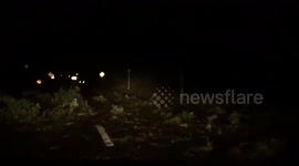 Storm Ellen Blows Over Trees In Ireland