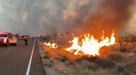 Firefighter shows damage caused by Dome fire in California