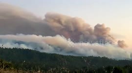 US: CZU Lightning Complex Fire Grows To Over 40,000 Acres In CA