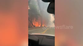 Santa Cruz fires ravage forests in California