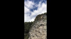 Bird mountain in North Norway