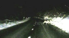 Motorist's near-miss after deer slips on icy road in Slovenia