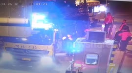 Runaway pigs block China road