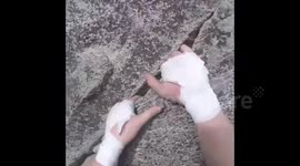 Climber falls off rock face in Yosemite National Park