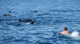 whales_ballenas_Guatemala-