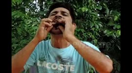 HOMEM ENROLA COBRA EM DUAS TARANTOLAS COLOCA NA  BOCA.