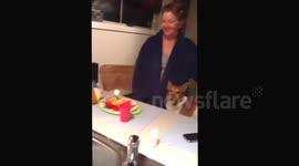 Guinea pig birthday party. Cutest guinea pig dog and cat celebrate guinea pigs 1st birthday