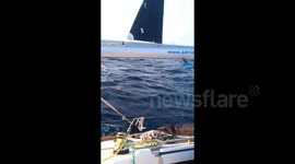 sailing Croatia