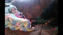 Baby and peacock lounge together on couch