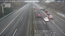 Runaway dogs cause havoc on highway in China